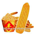 High Efficiency Corn Starch Making Machine/Corn Starch Processing Line